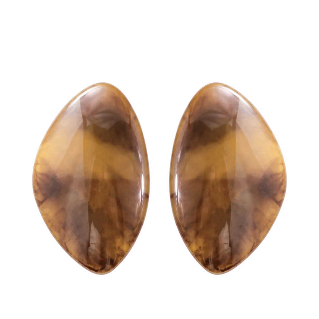 Oval Resin Beaded Pendant Earrings